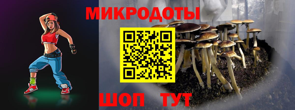 купить наркотик  Вход с VPN  Котельники  Галлюциногенные грибы Psilocybe 